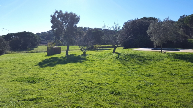 Calella Park 5-A