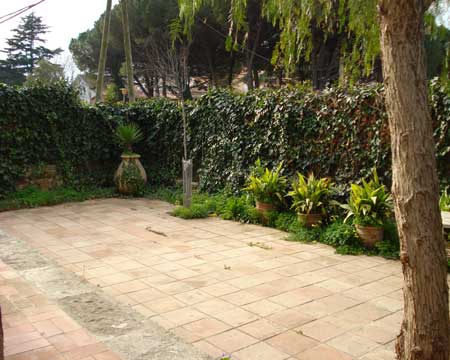 Morera 2